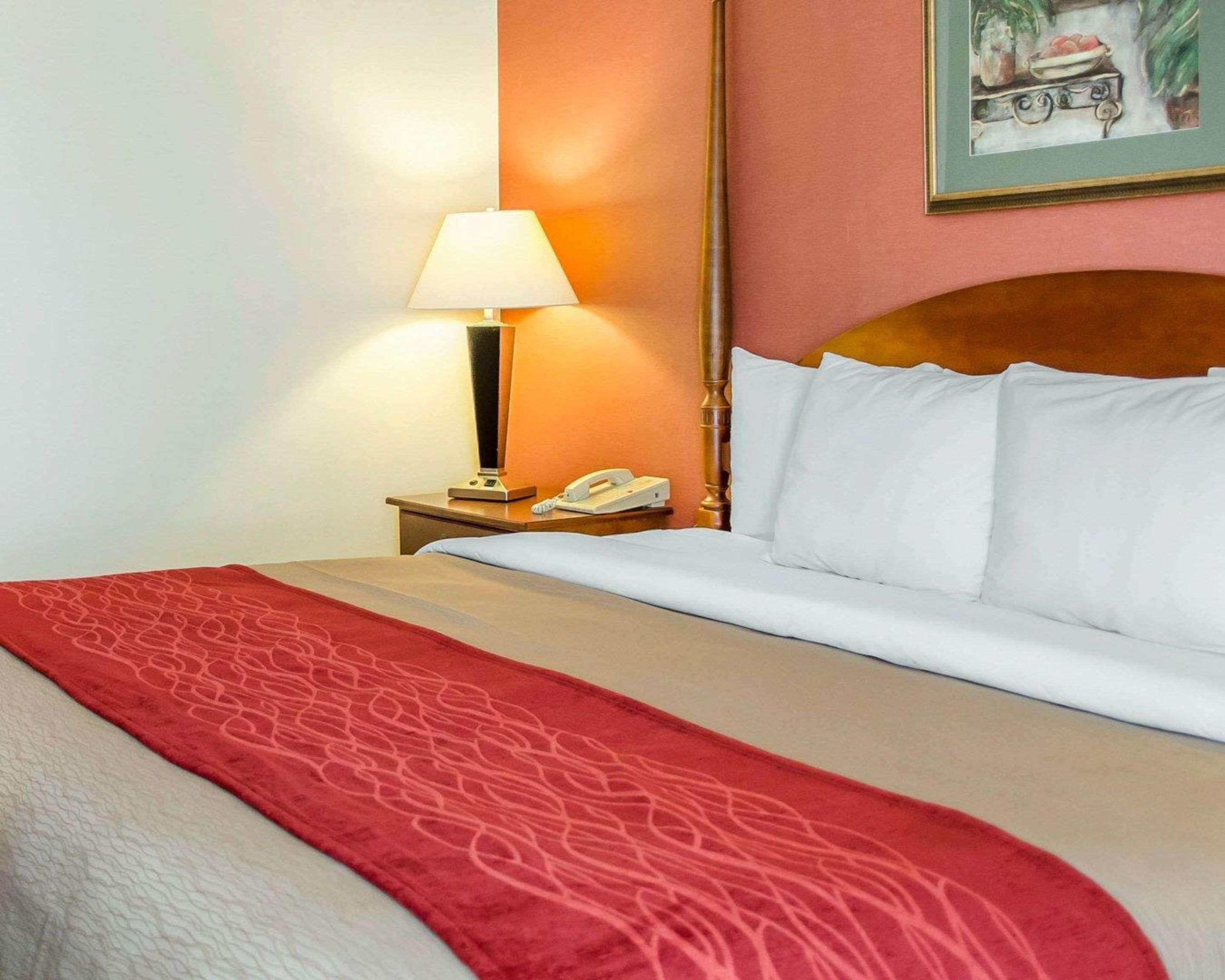 Comfort Inn & Suites York Buitenkant foto